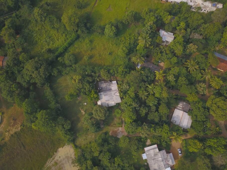 Sigiriya Village Home Stay Eksteriør bilde