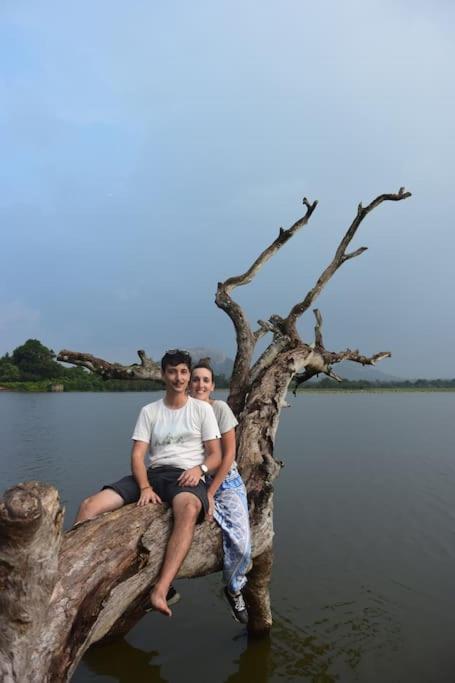 Sigiriya Village Home Stay Eksteriør bilde